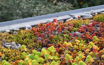 the cost of Newgate green roof installation