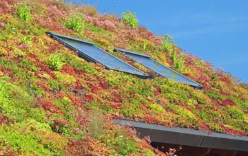 Newgate living roof systems